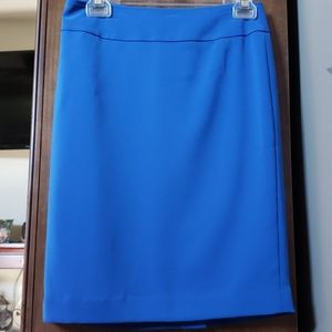 Skirt Ann Taylor